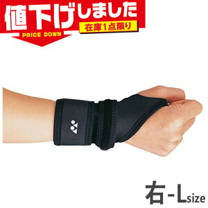 ݌1_ E-LTCY lbNX Y fB[X MPT|[^[ p ANZT[ ubN  YONEX MPS-60RI