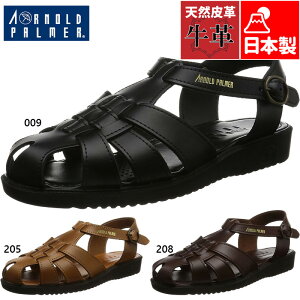 A[mhp[}[ Y fB[X amobNoh T_ C V[Y obNoh am hCo[V[Y ̓ ig ubN  uE F  Arnold Palmer AP6610