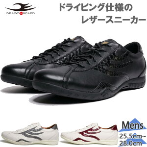�h���S���x�A�[�h �����Y DB CLASSIC 72sn �X�j�[�J�[ �C �V���[�Y �h���C�r���O ���U�[ �אg �����O�m�[�Y �������� DRAGON BEARD DBCLSC72SN