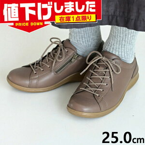 ݌1_ 25.0cm 3E L Ch ALX \{ fB[X C 555 C V[Y JWA {v rv OHH TCht@Xi[t   ACHILLES SORBO ASC5550