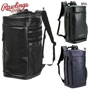 46L [OX Y fB[X AX[g^NobO 싅 ANZT[ Z obO  h Jɋ bN X|[c w Љl ubN  lCr[  RAWLINGS EBP13S11