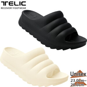 {㗝Xi ebN Y fB[X Jo[T_ T_ C V[Y RtH[g ^E[X ^  NbV zCg  ubN   TELIC W-CL