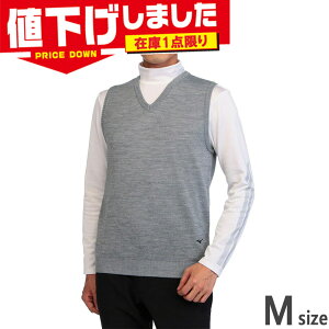 ݌1_ MTCY ~Ym Y VlbNjbgxXg Ap St EGA gbvX xXg VlbN { O[ DF  Mizuno E2JC2A01