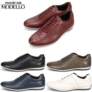 3E f Y hXU[Xj[J[ C V[Y [Jbg ₷ ɂ R L zCg  ubN  O[ lCr[ DF  MODELLO DM6922