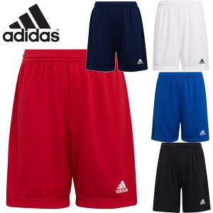 AfB_X WjA LbY KIDS ENTRADA22 V[c TbJ[ Ap Z V[gpc n[tpc g[jO K vNeBXpc zCg  ubN  lCr[ u[ 