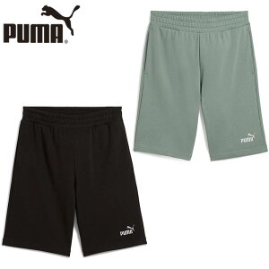 v[} Y ESS 2 COLOR NO.1 S 10 V[gpc TR Ap g[jO {gX n[tpc ^ X|[c ubN  O[  PUMA 687706