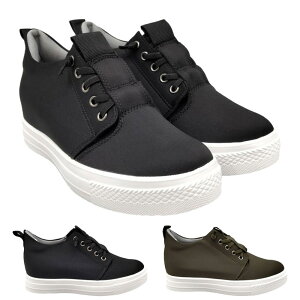 AGXfB[o fB[X Xj[J[ C V[Y ϐ Cq[ y Vv JWA ₷ ubN  J[L  Aries Diva 170