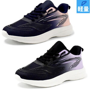 2E IWGbOX fB[X Xj[J[ C V[Y y  ₷ [Jbg RC ubN  lCr[ orange eggs JLS-2859