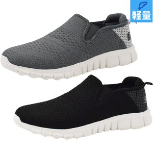 2E IWGbOX fB[X Xj[J[ C V[Y JWA TChSA ₷ y Vv [Jbg ubN  O[ DF orange eggs JLS-2861