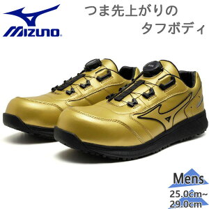 菤i ~Ym Y I[}CeB SU 51L BOA SC C V[Y Xj[J[ [N   ^A   ϊ {A S[h  Mizuno F1GA2513