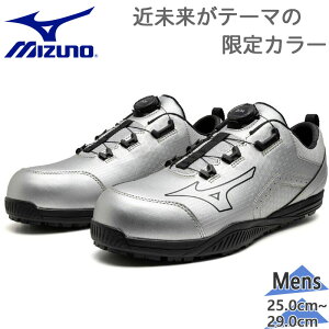 ~Ym Y I[}CeB TDII 51L BOA SC [NV[Y C V[Y Xj[J[ _C {A   ^A  [Jbg Vo[  Mizuno F1GA2514