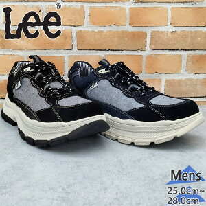 Lee Y [ Xj[J[ C V[Y [Jbg RC JWA Vv   킹₷ ₷ ubN  lCr[  Lee E86212