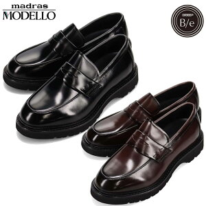 f Y [t@[ C V[Y XN[ [t@[ ʊw ʋ ItBX JWA NbV ₷ ɂ {v ނ݉P ubN  uE F  MODELLO