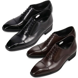 3E L Ch r[ NVbN Y r[NVbN BEE CLASSIC HXg[g`bvrWlXV[Y rWlX C V[Y  6cm ubN  uE F  BEE CLASSIC CB