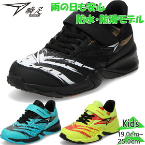 u WjA LbY j̎q C V[Y h }WbNe[v jO h V\N ubN  CG[ O[ F   syunsoku SJJ2070