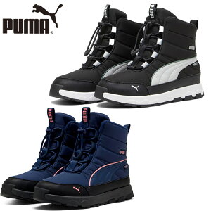 v[} WjA LbY G{u sAebNX u[c 22-25cm j̎q ̎q C V[Y H ~ h EB^[V[Y y₩ V[[X ubN  u[   PUMA 392647