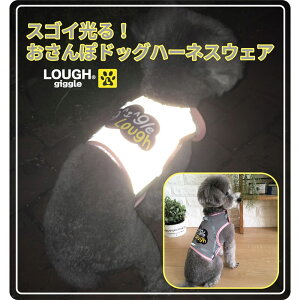 STCY tM[O XSC!hbOn[lXEFA ^p ANZT[ Ԃ U tN^[ Sʔ u[  CG[ sN O[ F   LOUGH GIGGLE