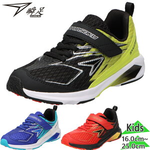 3E ���L ���C�h �u�� �W���j�A �L�b�Y �j�̎q ���̎q �C �V���[�Y �����j���O�V���[�Y �X�j�[�J�[ �}�W�b�N�e�[�v �x���N�� �ʊw �^�� �u���b�N �� �u���[ �� �������� syunsoku SJJ2330