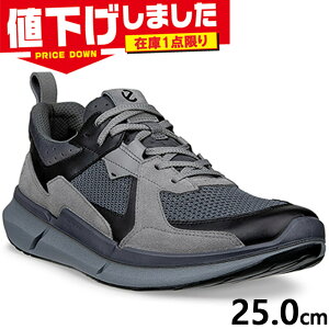 �݌�1�_���� EU40(25.0cm) �G�R�[ �����Y ECCO biom 2.2 men �X�j�[�J�[ �C �V���[�Y ���[�J�b�g �y�� �y�� �Ռ��z�� �J�W���A�� �����₷�� ���ɂ��� �O���[ �D�F �������� ECCO 830774