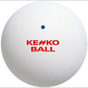 テニスボール ケンコー ソフトテニス ボール 公認球」の人気商品一覧 