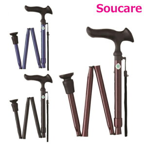 邪E ܏Sinj tWz[  XebL  s ]|\h