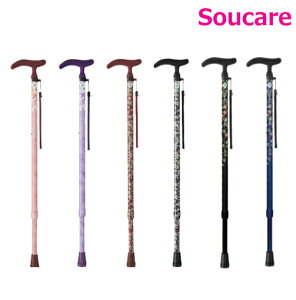 ANeBuO[XLkS tWz[  XebL  s ]|\h