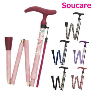 ANeBuO[X܏S tWz[  XebL  s ]|\h