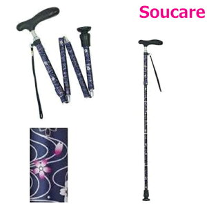 ܂肽ݘa RۃObv CMS-13 Z   ܂肽 y  ܂肽ݏ a XebL