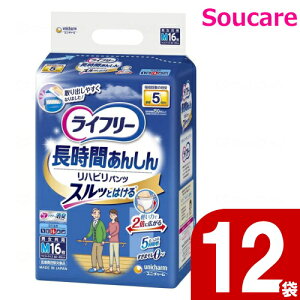 Ct[ Ԃ񂵂񃊃nrpc 5z M 16×12 jE`[ lp ނ Ƃȗp pc^Cv nr މ@