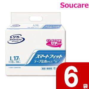 t X}[gtBbg e[v~߃^Cv L 17×6܃uhDR[|[V ނ  e[v^Cv