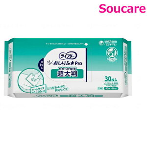 Ct[ 炭炭ӂPro炩 唻 40×30cm 30×1 jE`[ a@ { Ɩp 炾ӂ q 唻 pi 