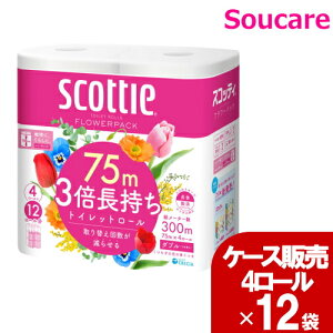 XRbeB t[pbN3{4R _u 75m×4[×12 P[X̔{NVA gCbgy[p[ 1[̒3{ lCi