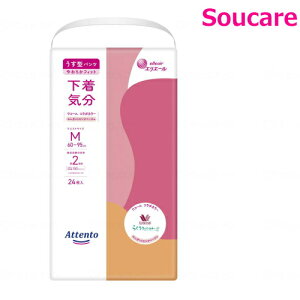 Aeg ^pc C M GKgsNx[W24×1 剤 ނ  pc