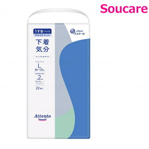 Aeg ^pc C L VvzCg22×1 剤 ނ  pc