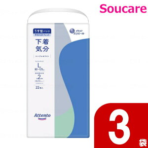 Aeg ^pc C L VvzCg22×3 剤 ނ  pc