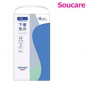 Aeg ^pc C M VvzCg24×1 剤 ނ  pc