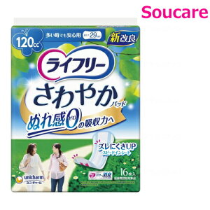 Ct[ ₩pbh łSp 120cc 29cm 16 ×1 jE`[ Ƃȗp Ic Apbh 