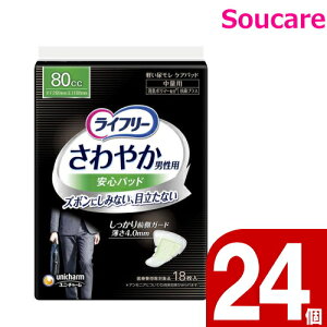 Ct[ ₩jpSpbh  80cc 18 P[X̔24 jE`[ Y jp zpbh ARpbh ₩ S zPA A A ɂ傤