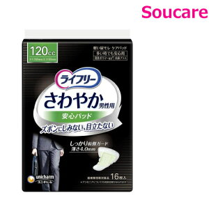 Ct[ ₩jpSpbh ƂłS 120cc 16 Pi̔ jE`[ Y jp zpbh ARpbh ₩ S zPA A A ɂ傤