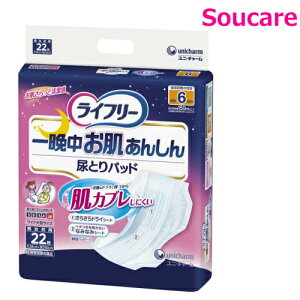 Ct[ Ӓ񂵂AƂpbh 6 22×1 jE`[ Ƃȗp Ic Apbh 