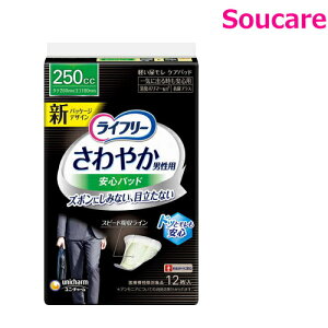 Ct[ ₩jpSpbh Cɏo鎞Sp 250cc 12 Pi̔ jE`[ Y jp zpbh ARpbh ₩ S zPA A A ɂ傤