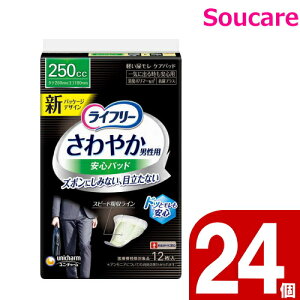 Ct[ ₩jpSpbh Cɏo鎞Sp 250cc 12 P[X̔24 jE`[ Y jp zpbh ARpbh ₩ S zPA A A 