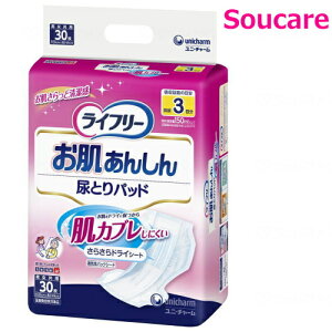 Ct[ 񂵂AƂpbh 3z 30×1 jE`[ Ƃȗp Ic Apbh 