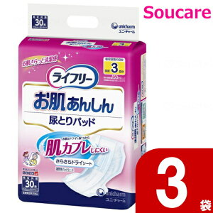 Ct[ 񂵂AƂpbh 3z 30×3 jE`[ { a@ Ɩp pi AƂpbh Apbh