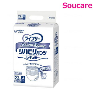 Ct[ nrpc M[ jp LLTCY 22×1 jE`[ a@ { Ɩp lpނ Ƃȗp Ic pc^Cv