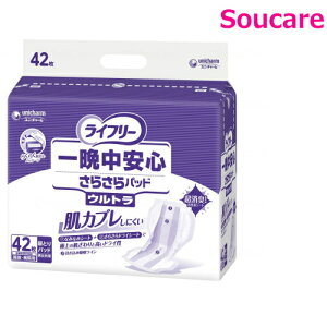 Ct[ ӒS炳pbh jp Eg 42×1 jE`[ { a@ Ɩp pi AƂpbh Apbh