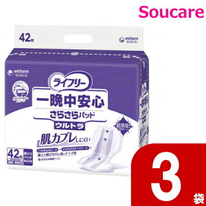 Ct[ ӒS炳pbh jp Eg 42×3 jE`[ { a@ Ɩp pi AƂpbh Apbh