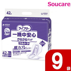 Ct[ ӒS炳pbh jp Eg 42×9 jE`[ { a@ Ɩp pi AƂpbh Apbh