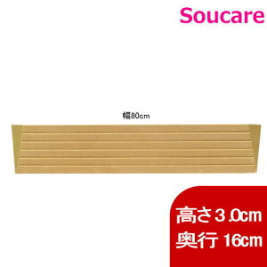 iX[v p _CX[v10 80cm AEVA TS10-80-30 3.0cm×s16cm×80cm CguE VGCeNm X[v   ܂Â\h s ]|\h i ZC
