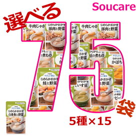 介護食 お好みで選べる 5種×15袋 やさしい献立 区分4 かまなくてよい 75袋 キューピー 介護食 やわらか食 区分4 かまくてよい 食事 食事サポート防災 常温 手軽 栄養補助 柔らかい レトルト お好きな味